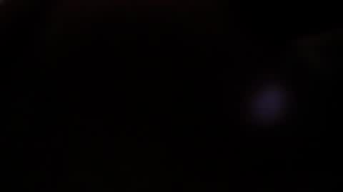 Snapshot of vicioushorse33 chatting on 12.14.24 Sophie and Stan online show from 12.14.24