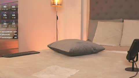         online show from 01.28.25