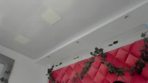 Snapshot of victoriawills_ chatting on 03.12.25 ADRIANA online show from 03.12.25