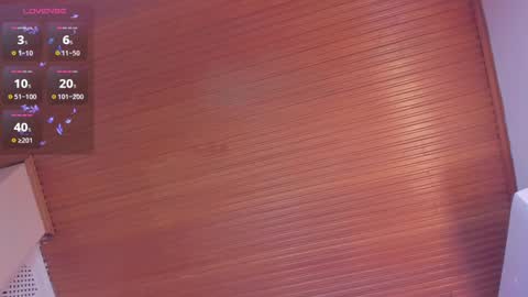 Snapshot of viiolett_lee chatting on 02.22.25 Viiolett online show from 02.22.25