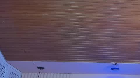 Snapshot of viiolett_lee chatting on 10.01.25 Viiolett online show from 10.01.25