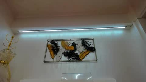 Snapshot of vikafever chatting on 11.10.25 vikafever online show from 11.10.25