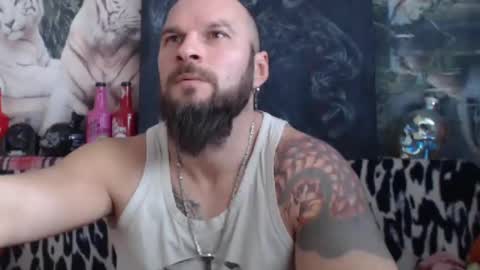 viking online show from 01.04.25