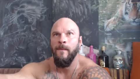 viking online show from 09.12.25