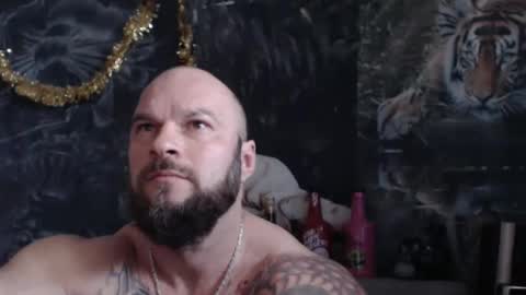 viking online show from 04.04.26