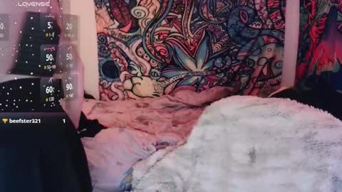 vikskikat online show from 01.14.26