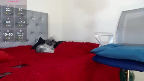 Snapshot of vinzent_lafed_ chatting on 10.05.25 vinzent_lafed_ online show from 10.05.25