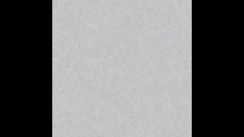 VIOLETA AND MAXX online show from 11.24.25