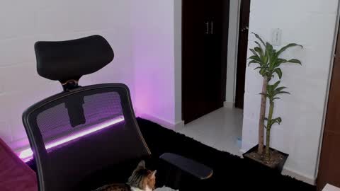 Lu online show from 03.05.25