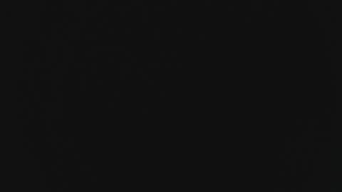 Snapshot of vitel2000 chatting on 03.10.25 Marie online show from 03.10.25