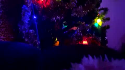 Vivi online show from 01.11.26