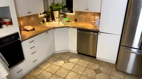 Snapshot of viviannexxx2022 chatting on 01.20.25 Vivlove online show from 01.20.25