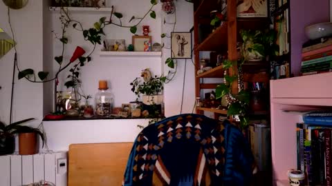 Viv online show from 12.27.24