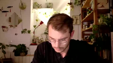 Viv online show from 01.15.25