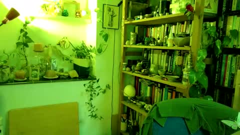 Viv online show from 03.02.25