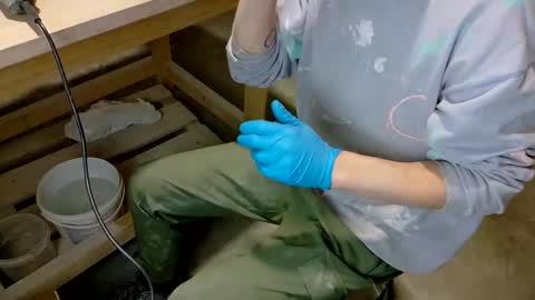 Viv online show from 02.06.26