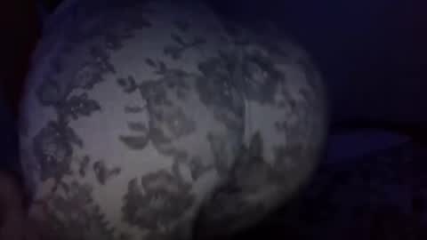 Snapshot of vkitty01 chatting on 03.31.26 vkitty01 online show from 03.31.26