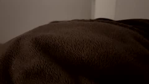 John online show from 12.02.24