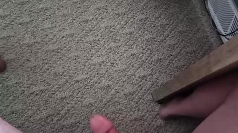 vtxrider77 online show from 10.01.25