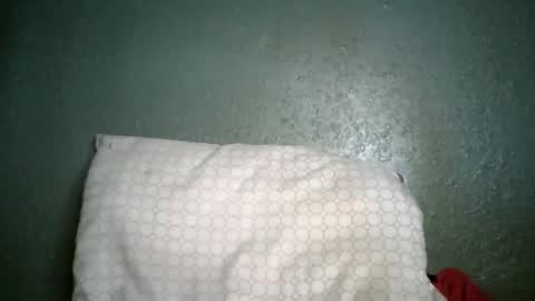 Champion Lover online show from 01.07.26