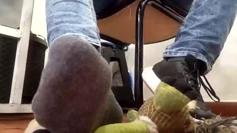 WaltherFeet  online show from 02.10.25