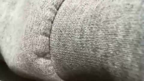 wanting1for online show from 02.19.26