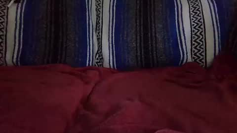 Warishcow online show from 12.11.24