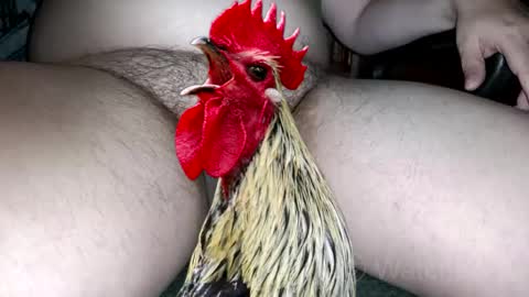 classified online show from 10.04.25