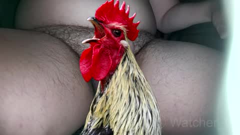 classified online show from 10.07.25