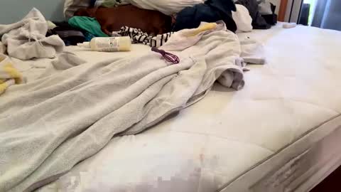 watershed111111 online show from 02.26.26