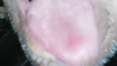 wayne1311 online show from 01.23.25