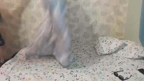 Lia and Artur online show from 12.22.25