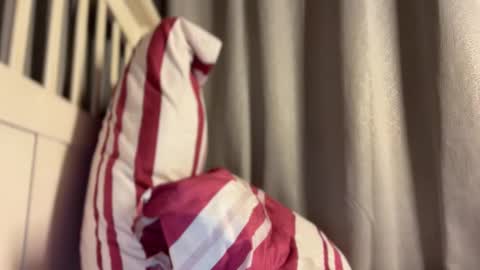 Maggie online show from 10.13.25