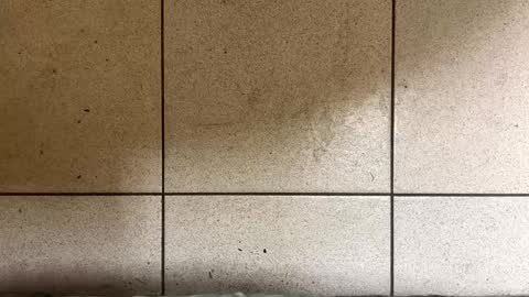 webchatter99 online show from 01.02.25