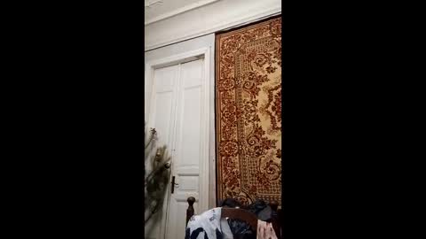 Marina online show from 02.26.25