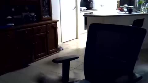 Wellhelloo online show from 02.15.26