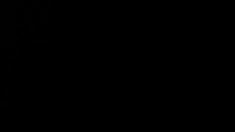 wellingtont online show from 12.21.25