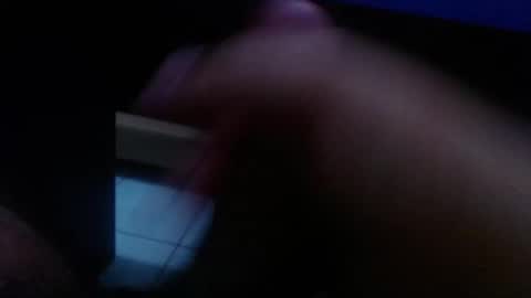 wellingtont online show from 01.11.26