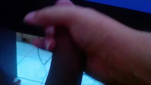 wellingtont online show from 02.11.26