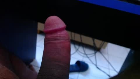 wellingtont online show from 04.04.26