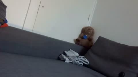 wet_pants2022 online show from 09.22.25