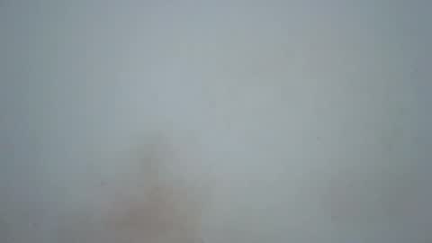 wet_pussieyy online show from 02.17.26