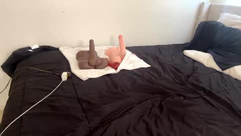 Snapshot of wetcreamerr chatting on 11.13.25 SheSquirts online show from 11.13.25