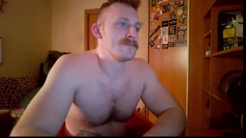 WhiteBull online show from 02.08.26