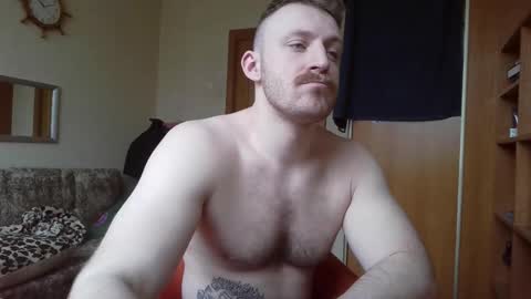 WhiteBull online show from 03.02.26