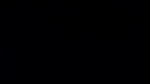 whitehead_lion online show from 01.20.25