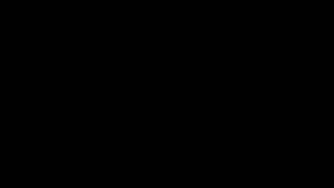 whitehead_lion online show from 03.01.25