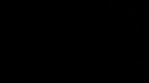 WhoDat online show from 03.26.26