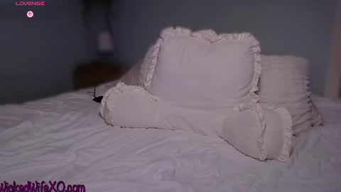Snapshot of wickedwifexo chatting on 06.14.26 WickedWifeXO online show from 06.14.26