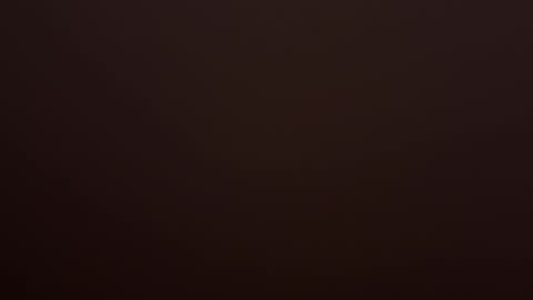 VI online show from 02.14.26